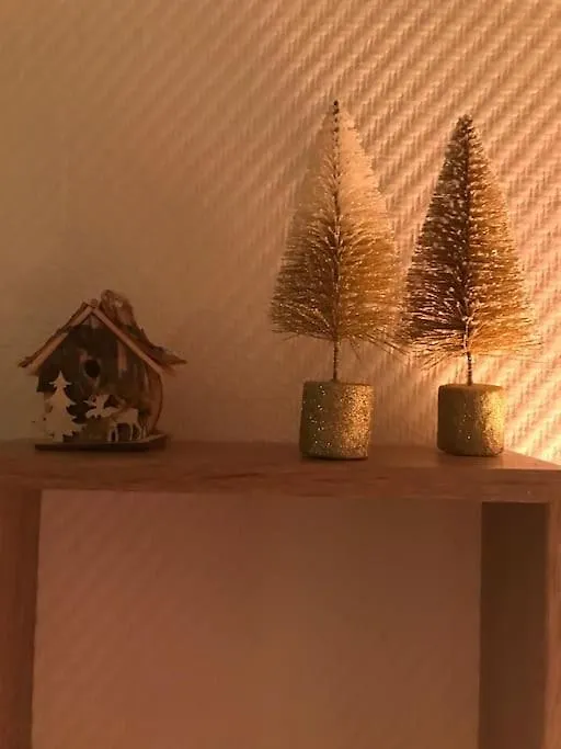 Appartement Aux Pieds Des Remontees Mecaniques Bagnères-de-Luchon Apartament
